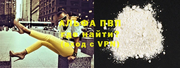spice Аркадак