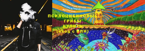 spice Аркадак
