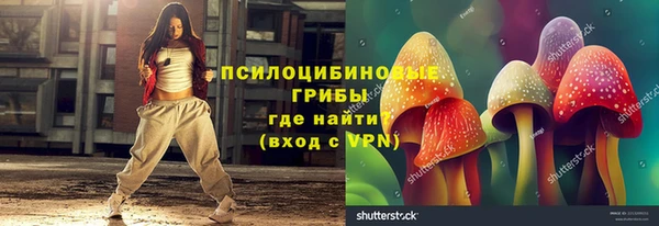 винт Арсеньев